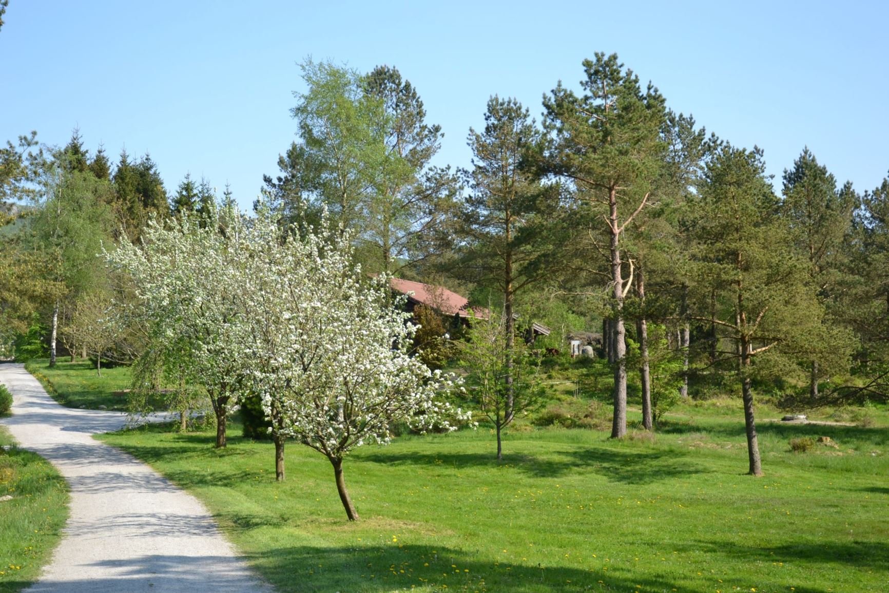 Arboretum view
